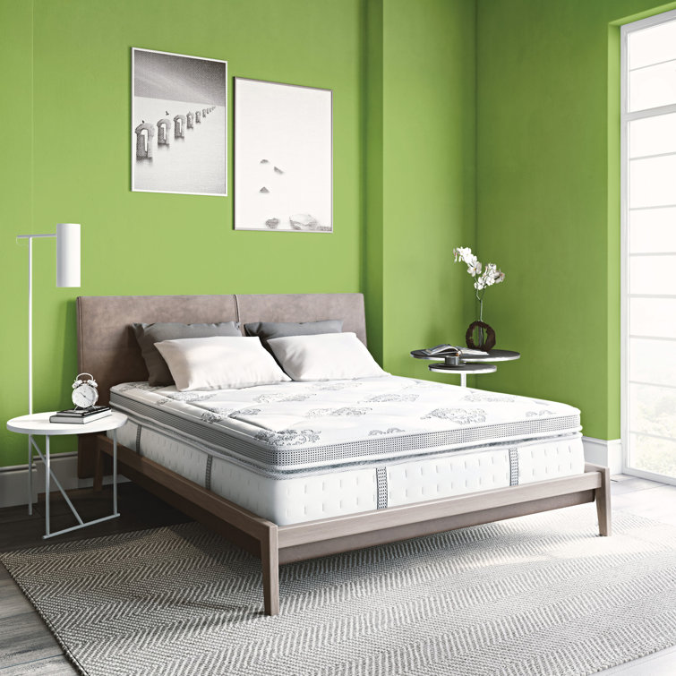 Wayfair Sleep™ 14" Medium Plush Hybrid Mattress & Reviews Wayfair